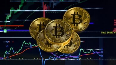 Bitcoin safe haven