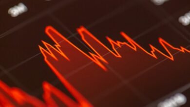 stock market